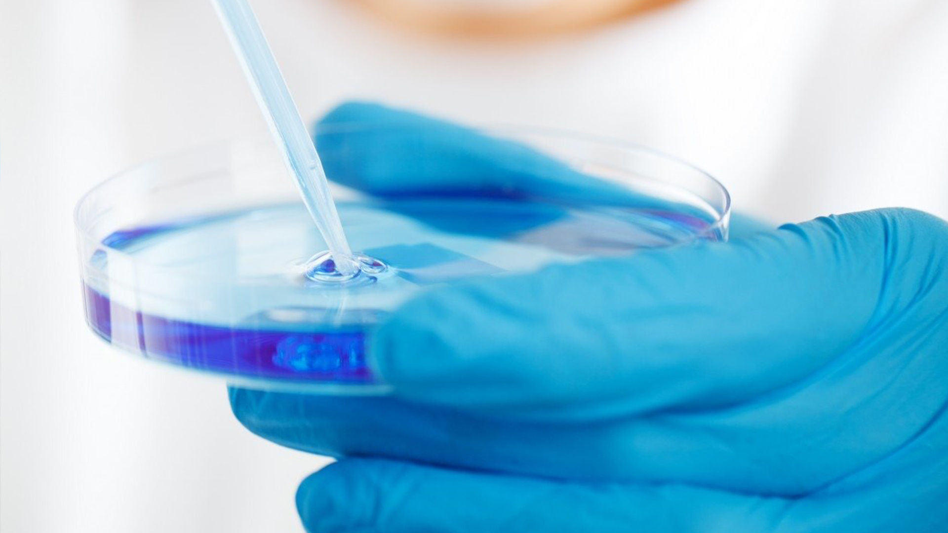 撫順市清原助劑廠有限公司